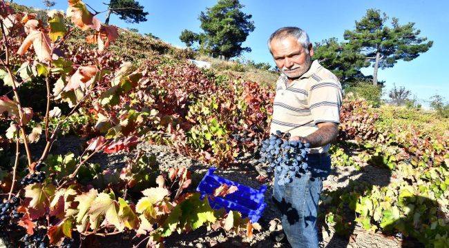 Hem üreticiye hem dar gelirliye destek