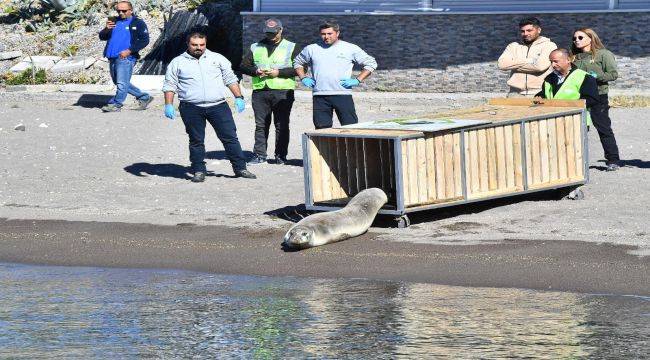 Veterinerler seferber oldu