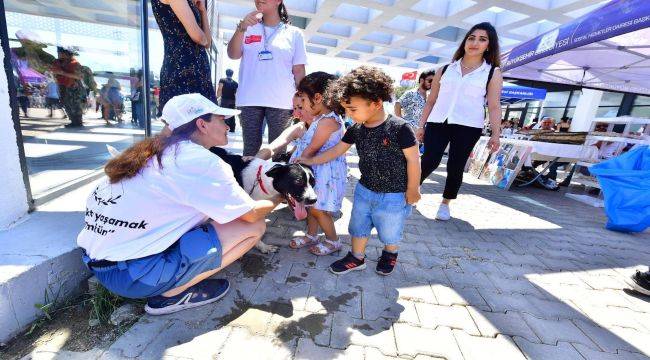 Barınaklardan Hayvan Sahiplenmek Çok Önemli